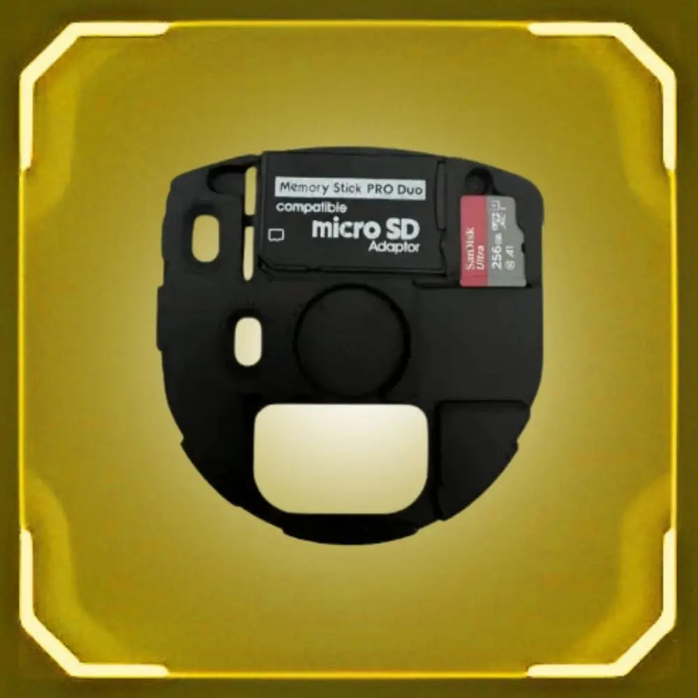 PSP 256GB Speichererweiterung